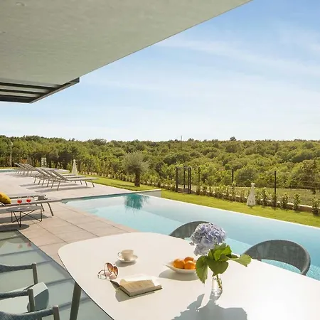 Modern Noble With View And Pool In