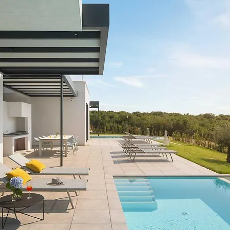 Modern Noble With View And Pool In *